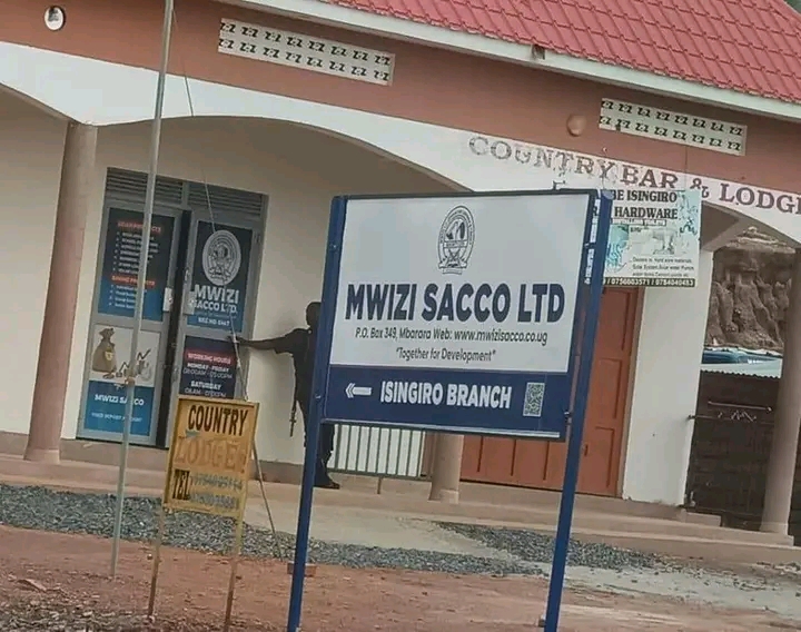 1669637887679.jpg