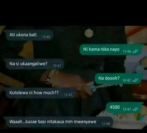 1674190075643.jpg