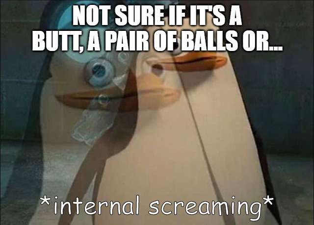 1674223340146.png