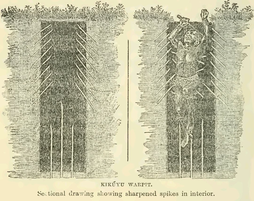1674717117548.png