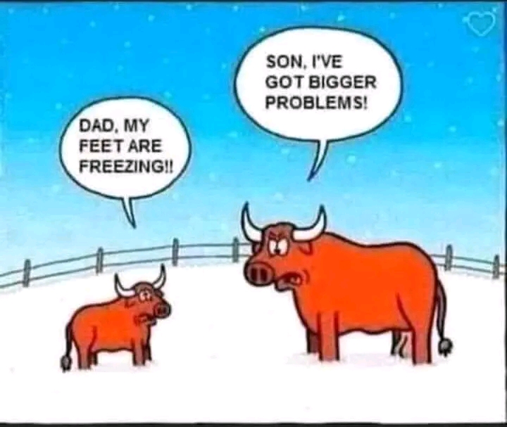 1674923929613.jpg