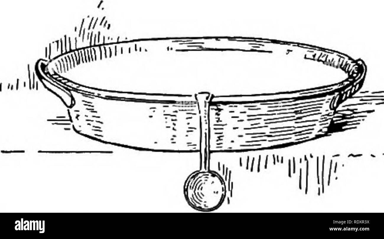 1675509559642.png