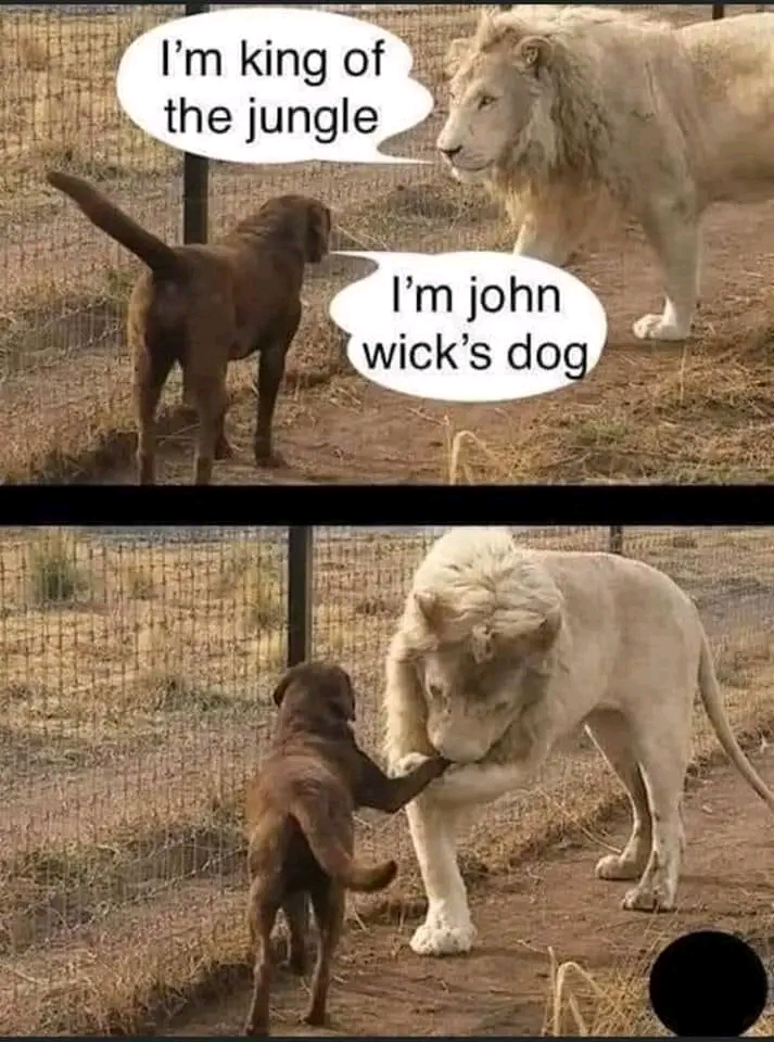 1679331043393.jpg