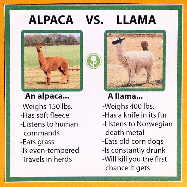 1679558375114.png