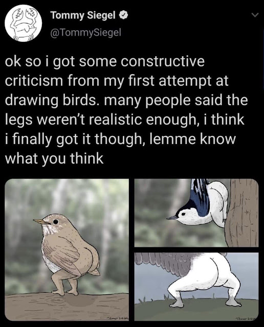 1683088956954.png
