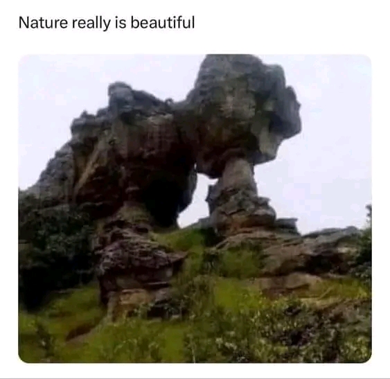 1687407541663.jpg