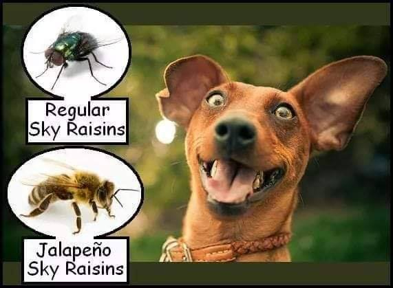 1687516255866.png