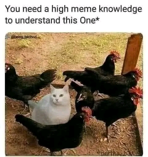 1687878635047.jpg
