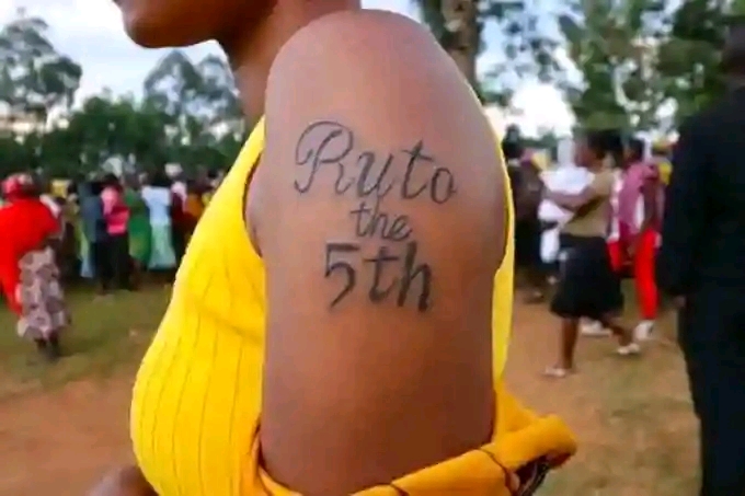 1699374782425.jpg