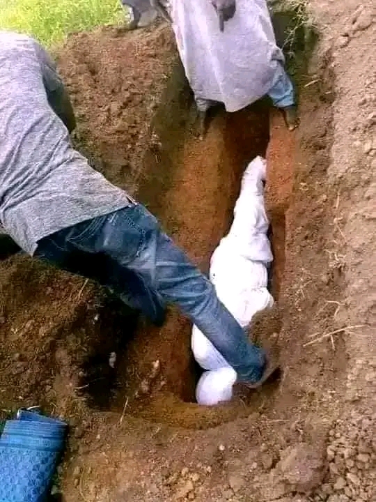 1708447173795.jpg