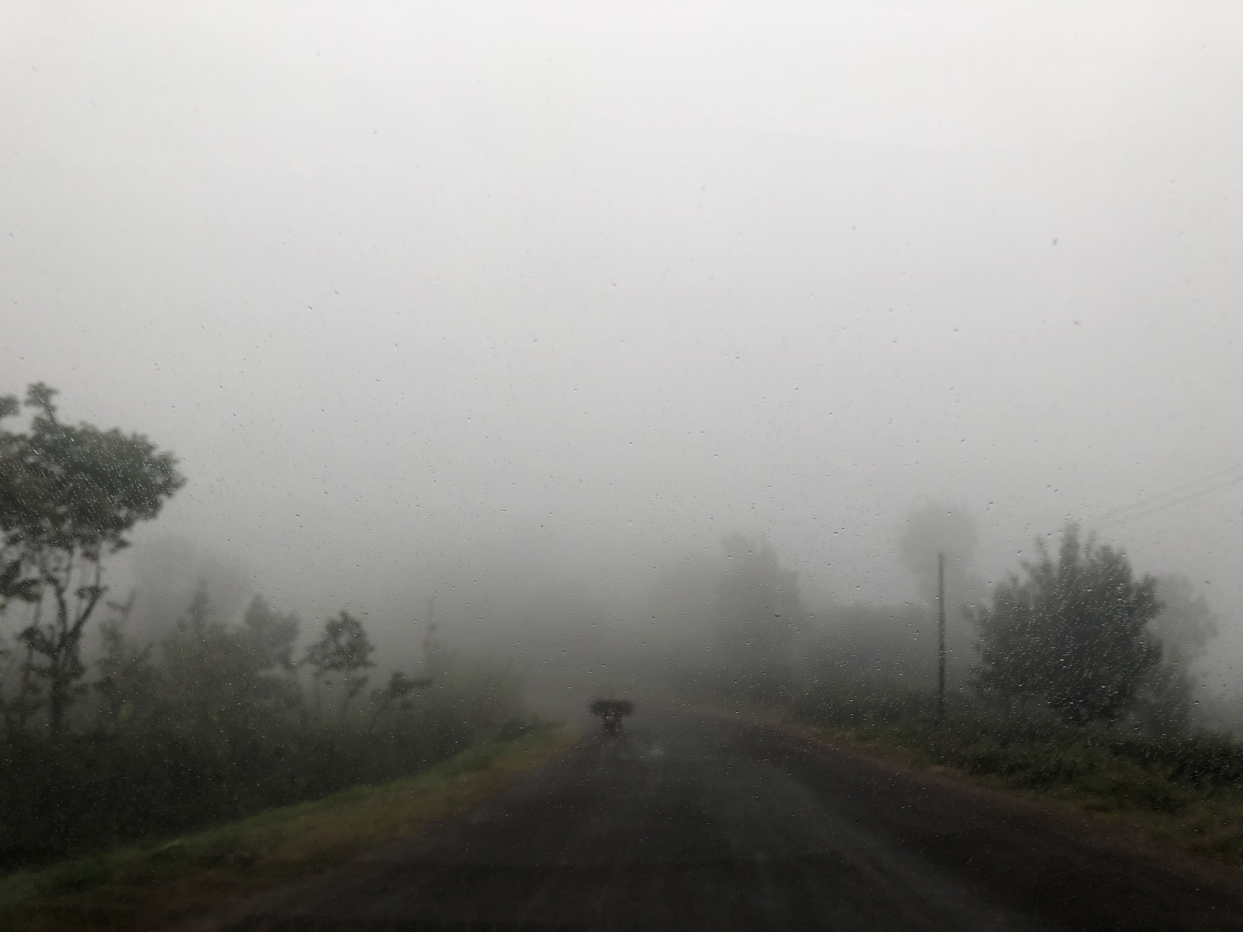 1717F883-D5D7-4A4C-9471-CE2E378119B8.jpeg