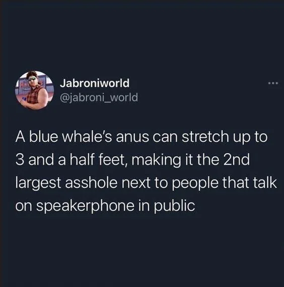 1729422716696.png