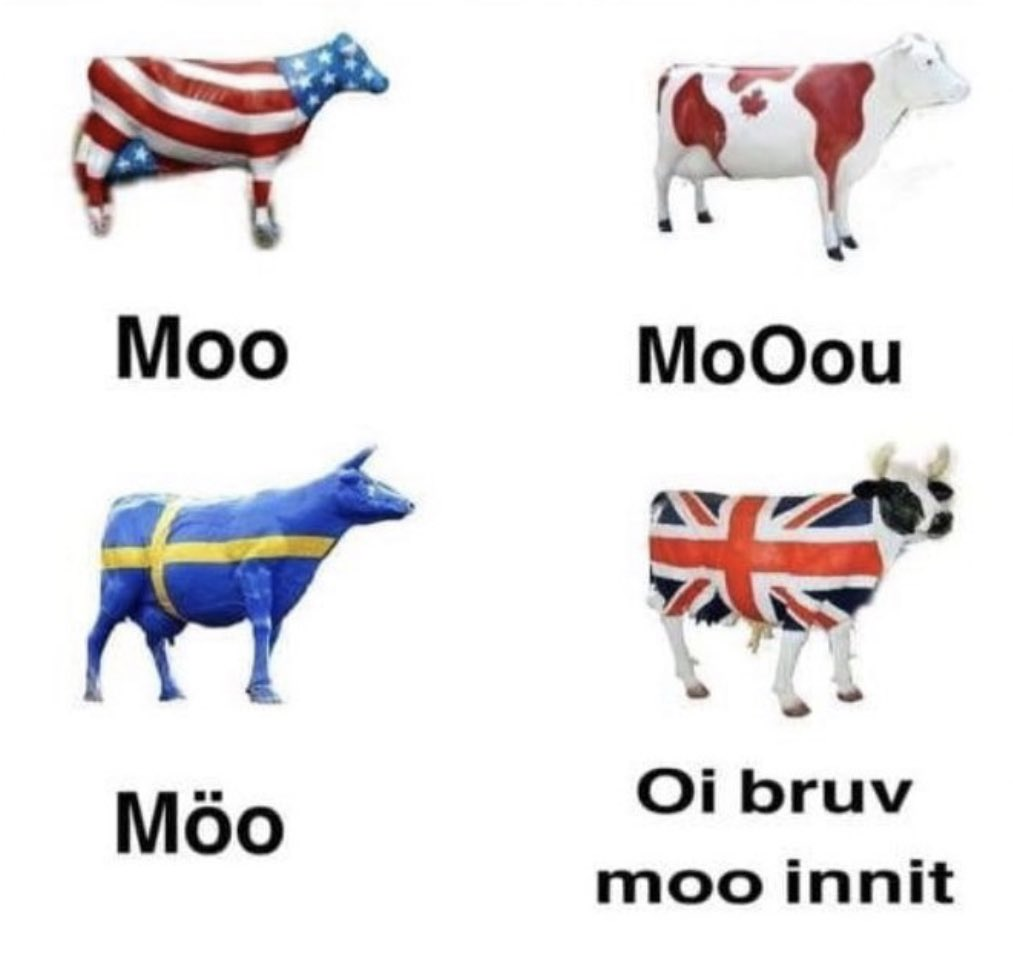 1730887531226.png