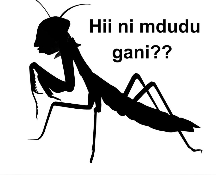 1731408845154.png