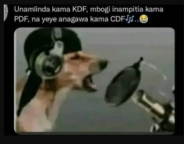 1733728557957.webp