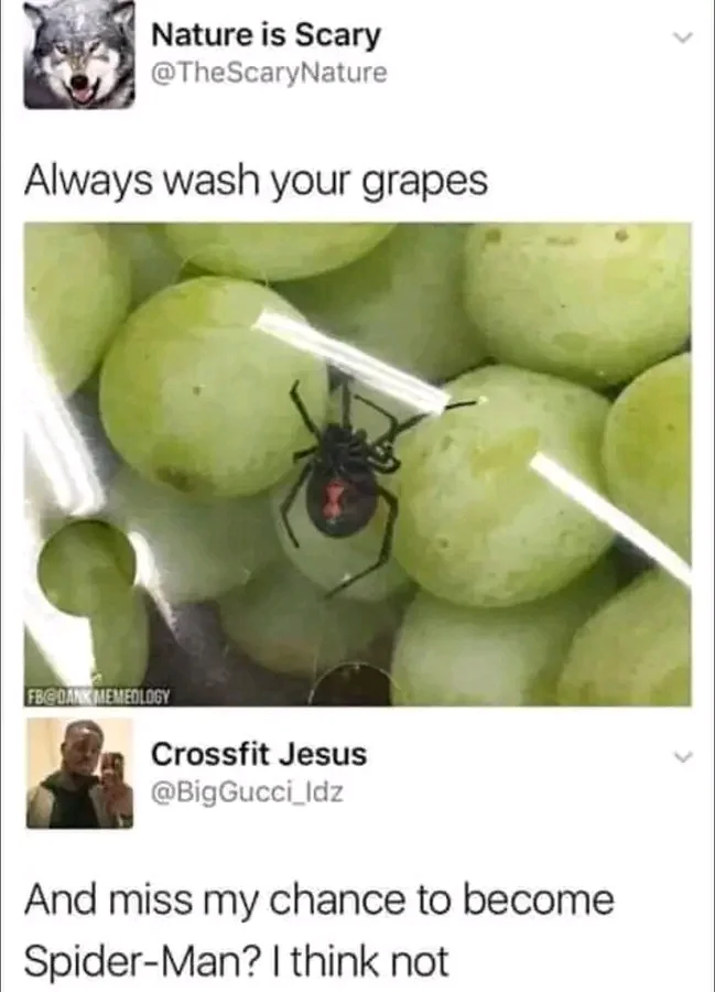 1734258207018.webp