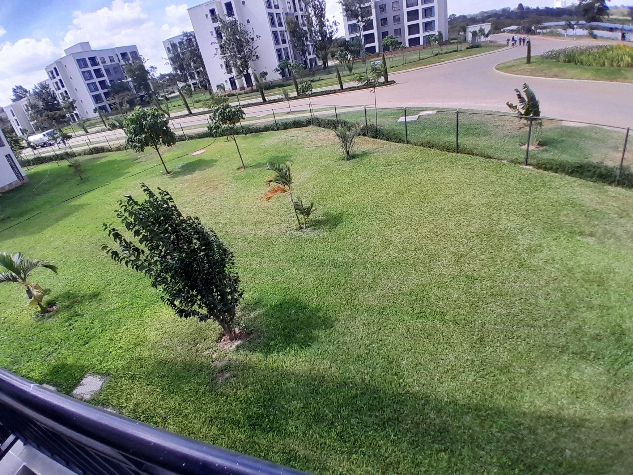 1737112485739.webp