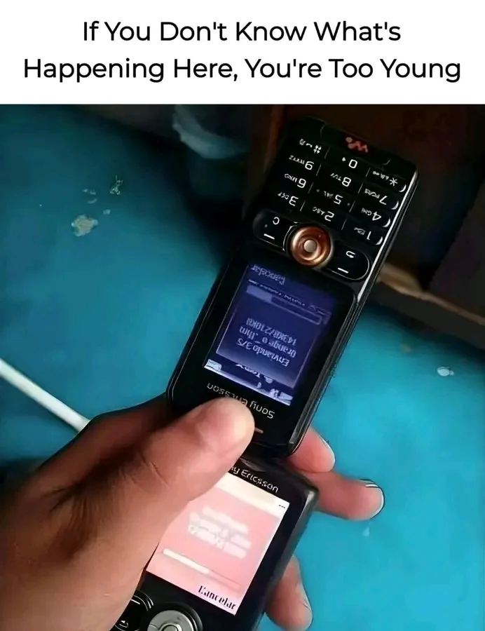1737877601334.webp