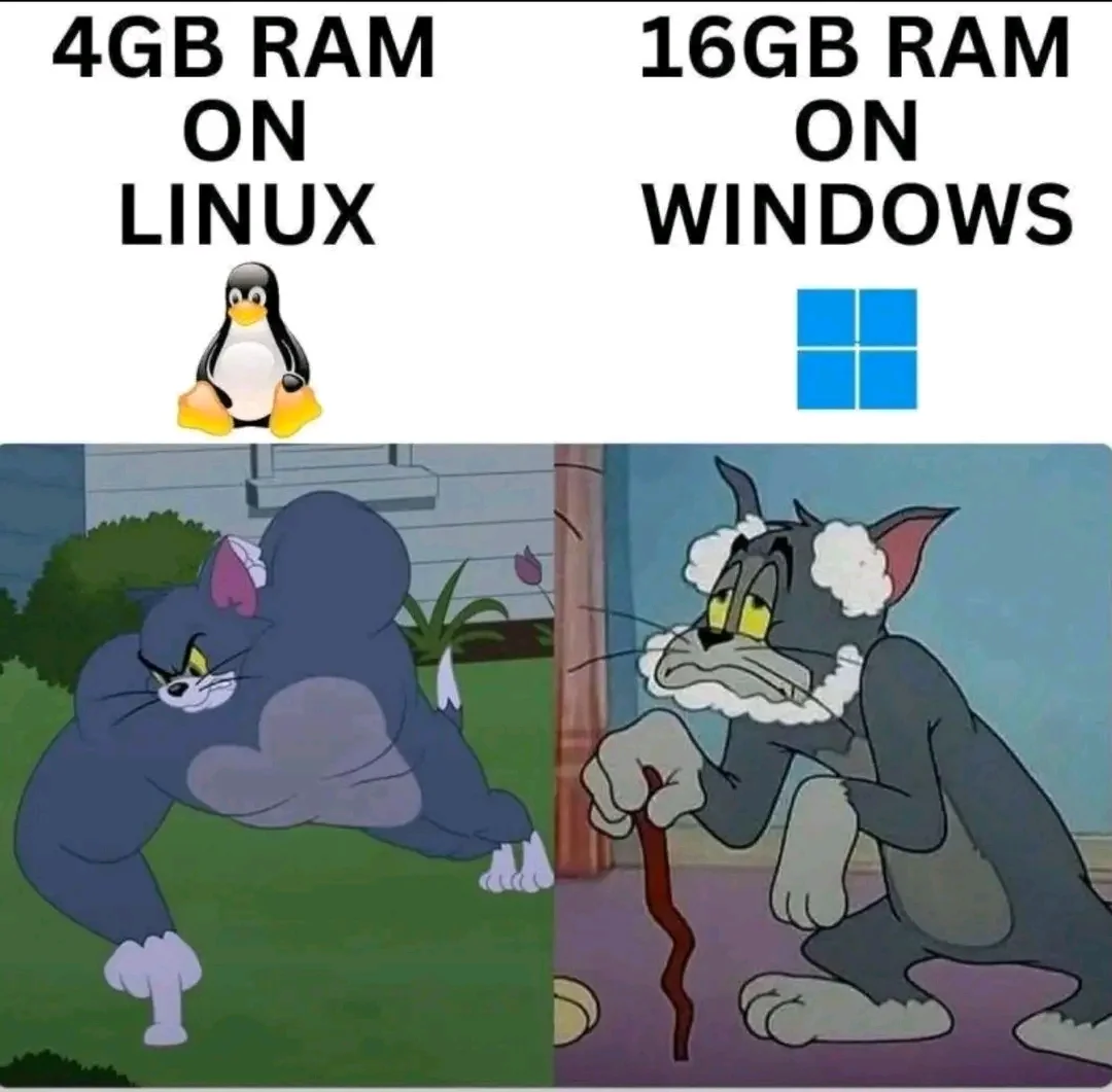 1746598458636.webp