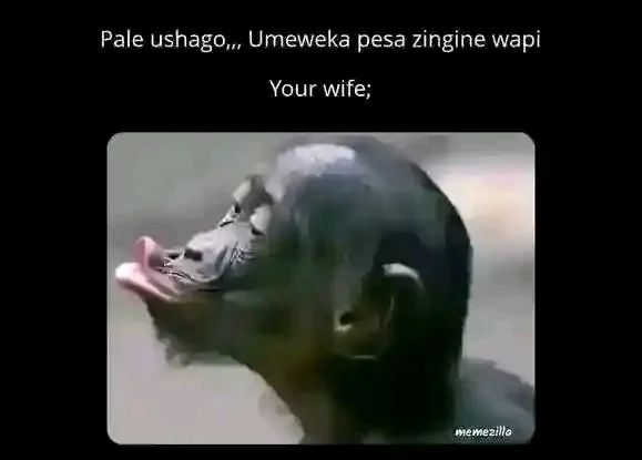 1757834217188.webp