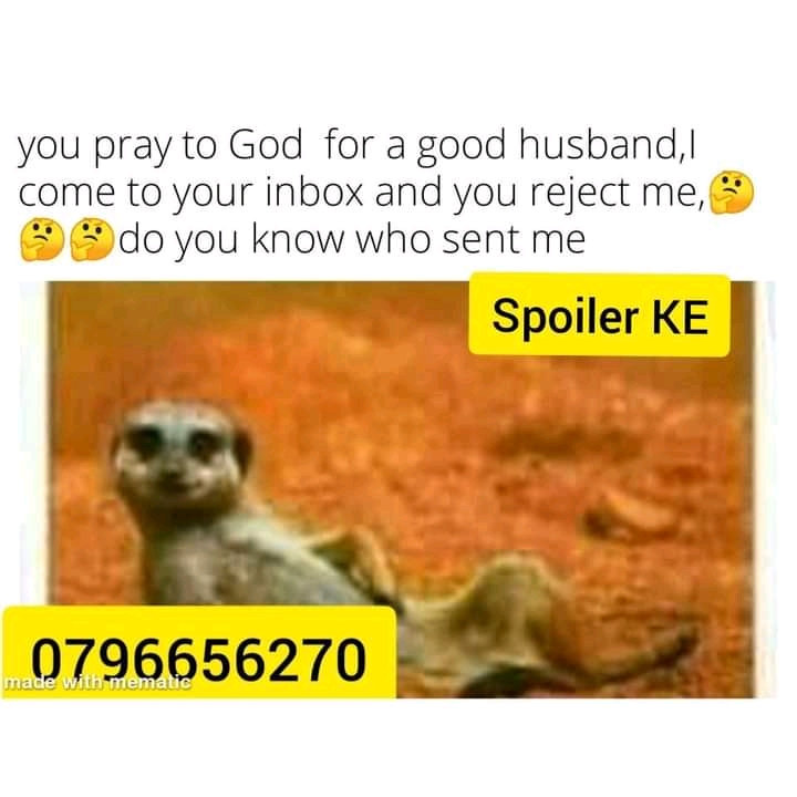 1ed374d118e543fb83577adee983e55d.jpg