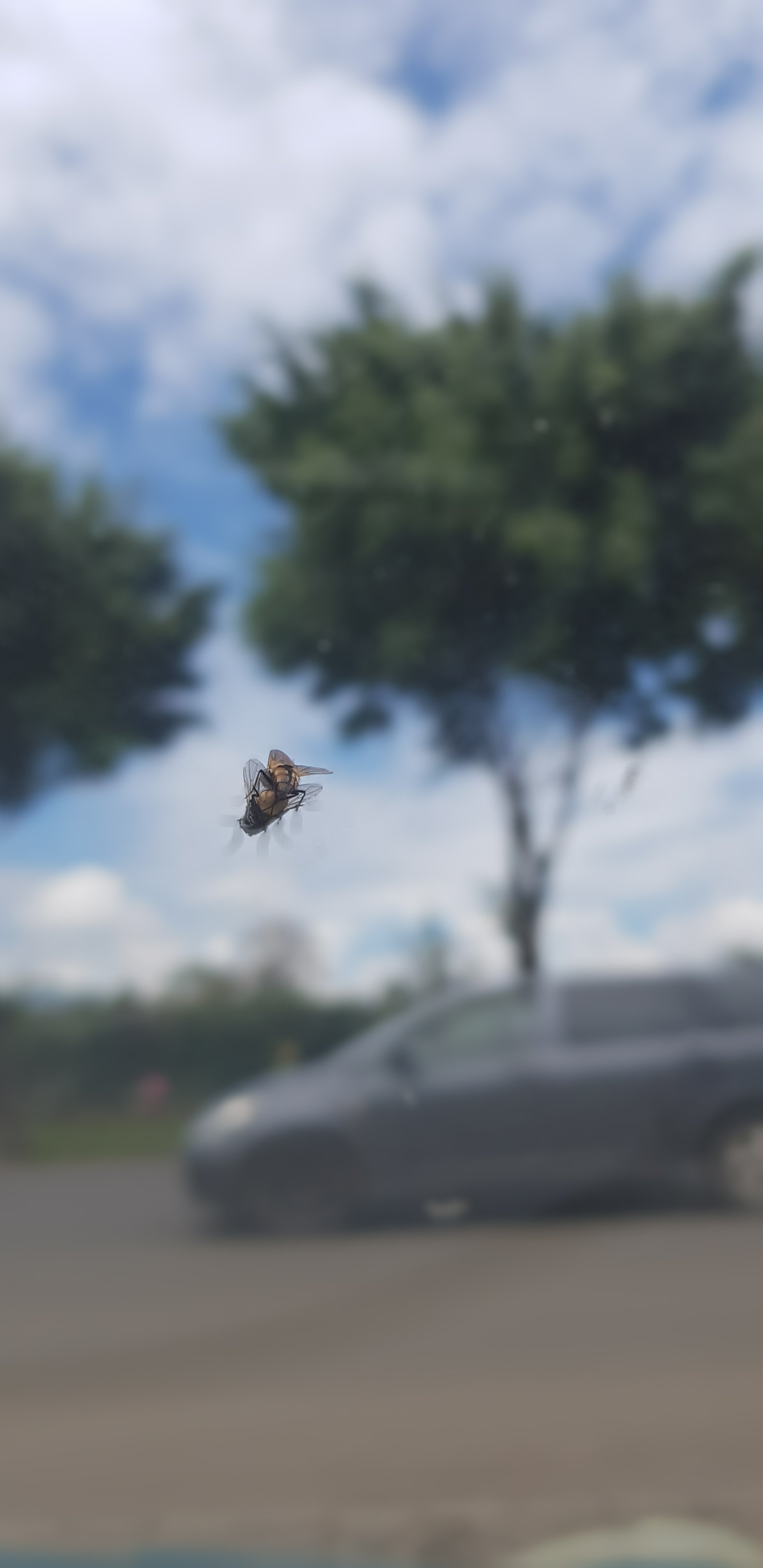 20191023_130045.jpg