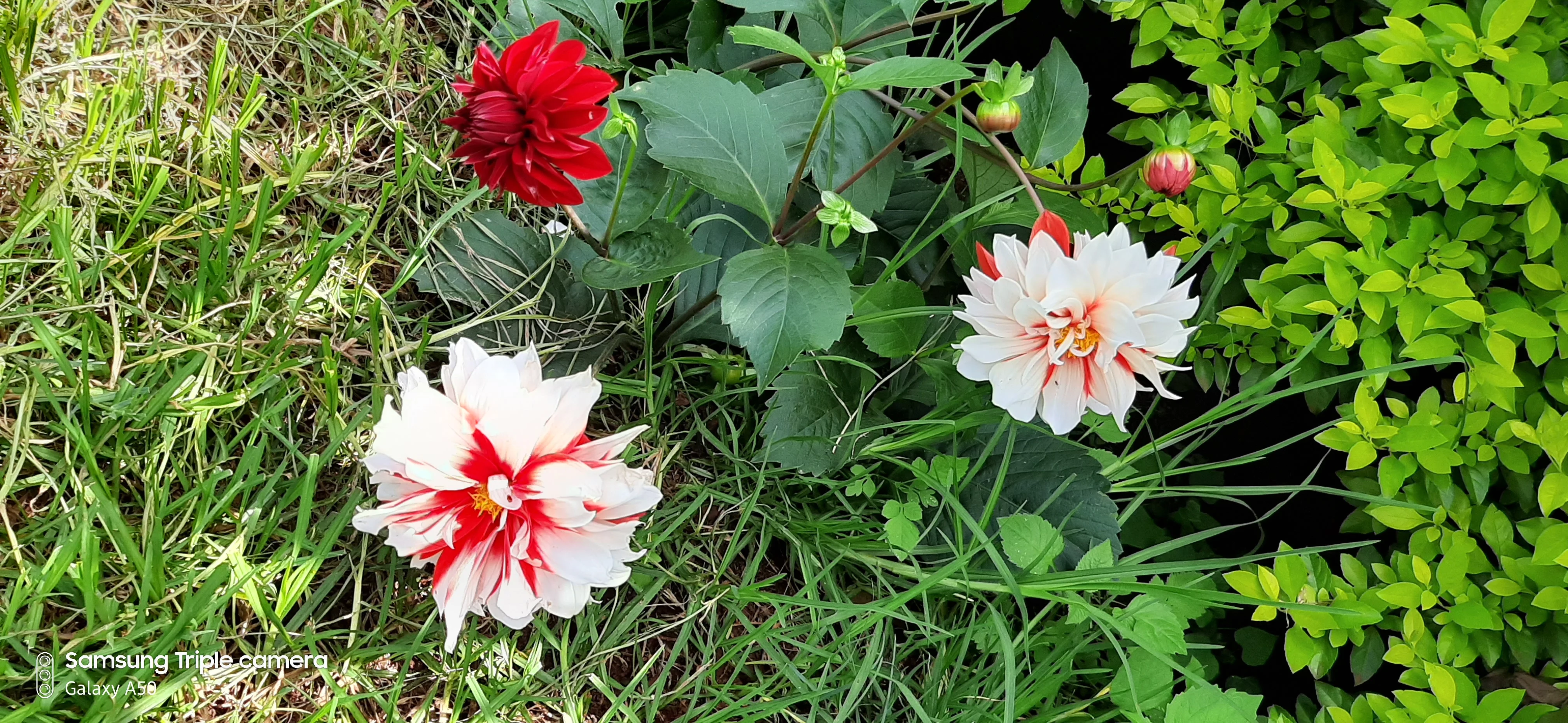20191117_141837.webp