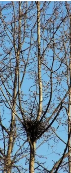 20191209_225137.webp
