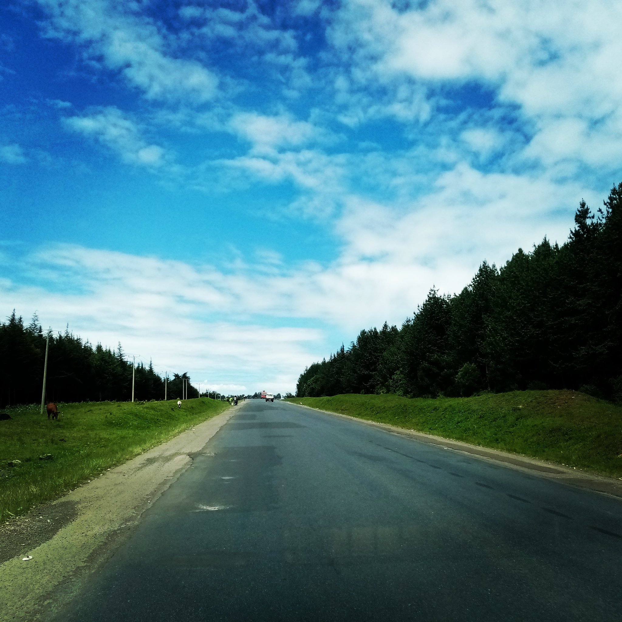 20200819_102245.jpg