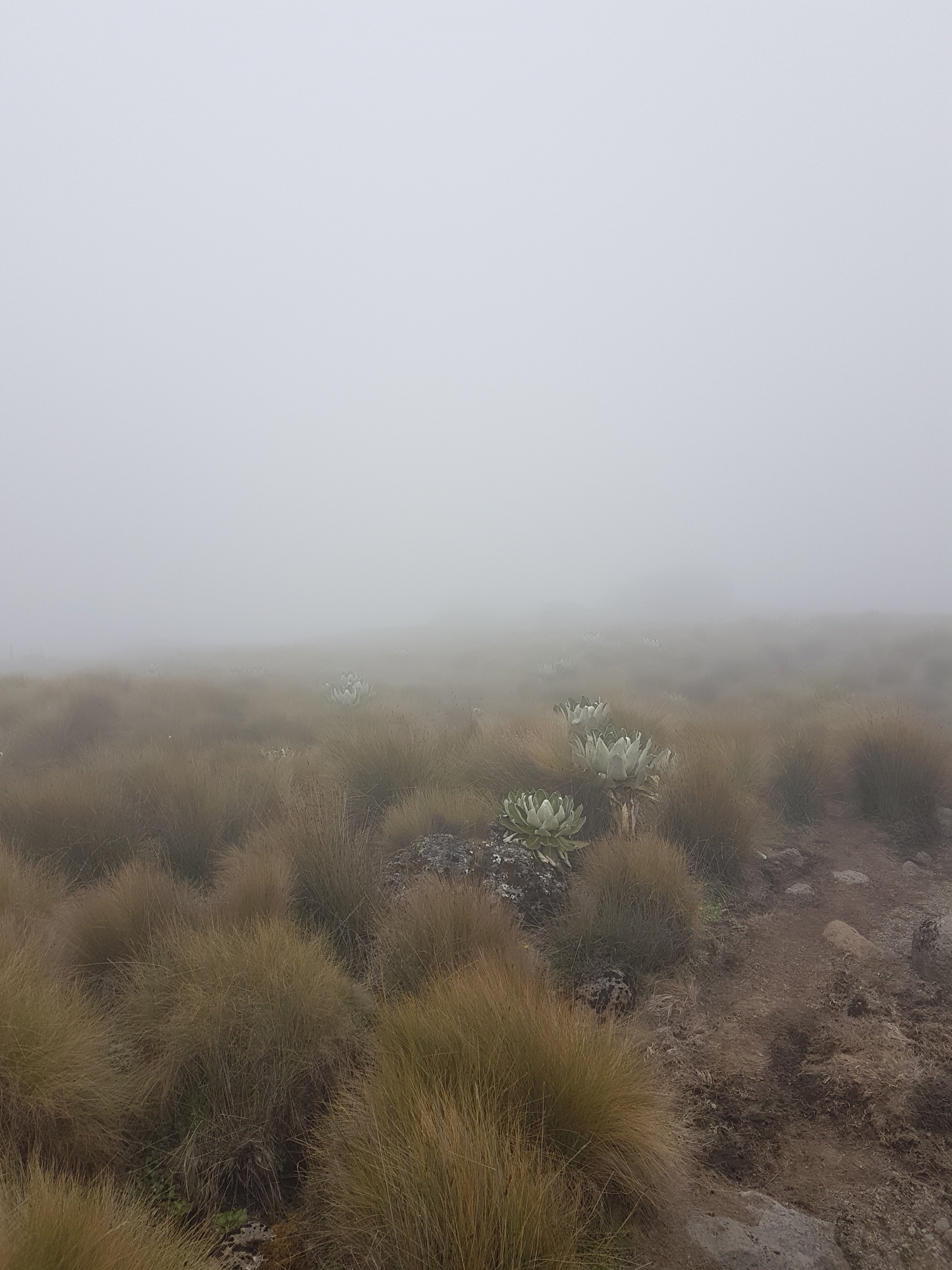 20200905_134316.jpg