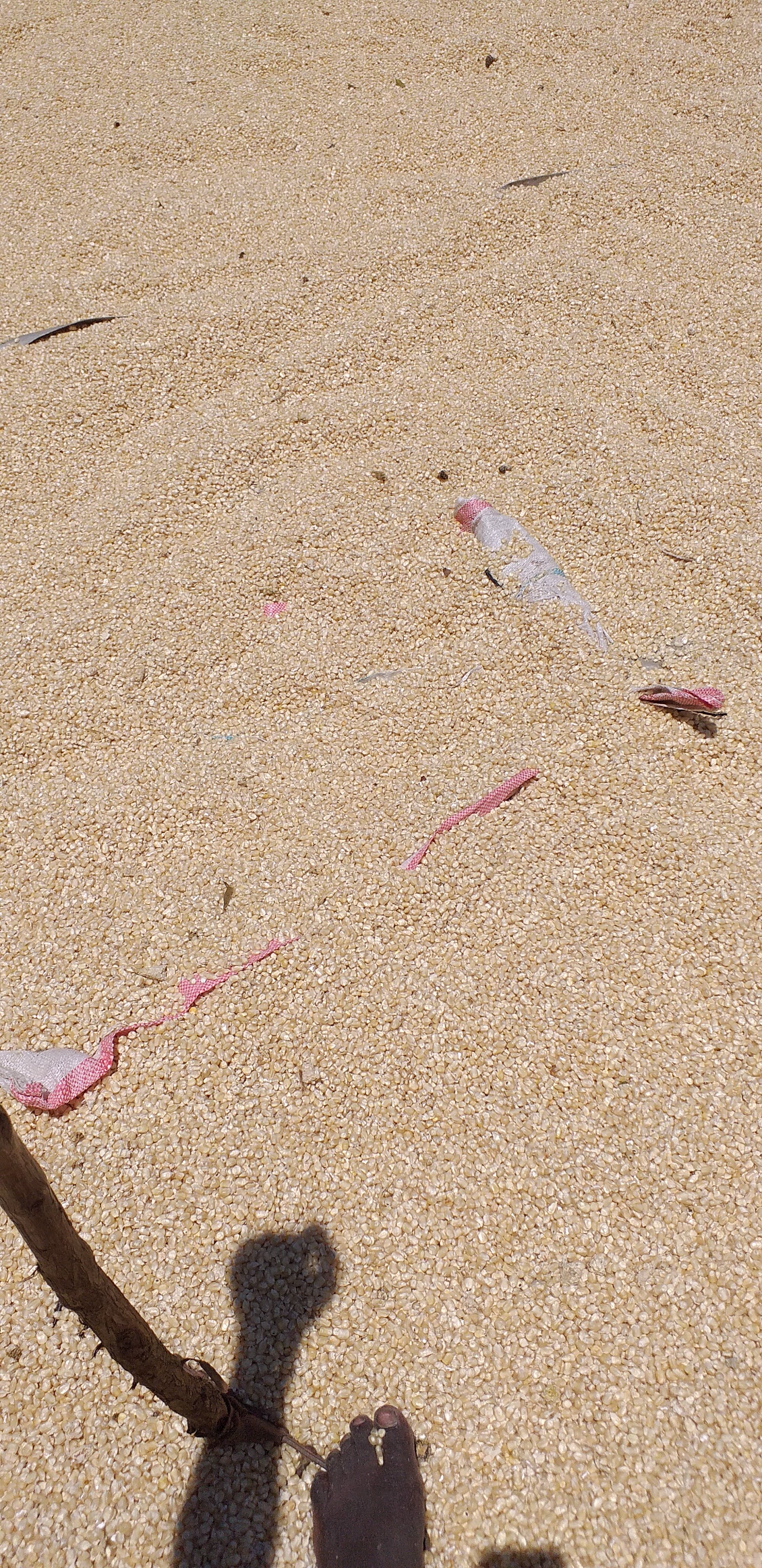 20200921_121249.jpg