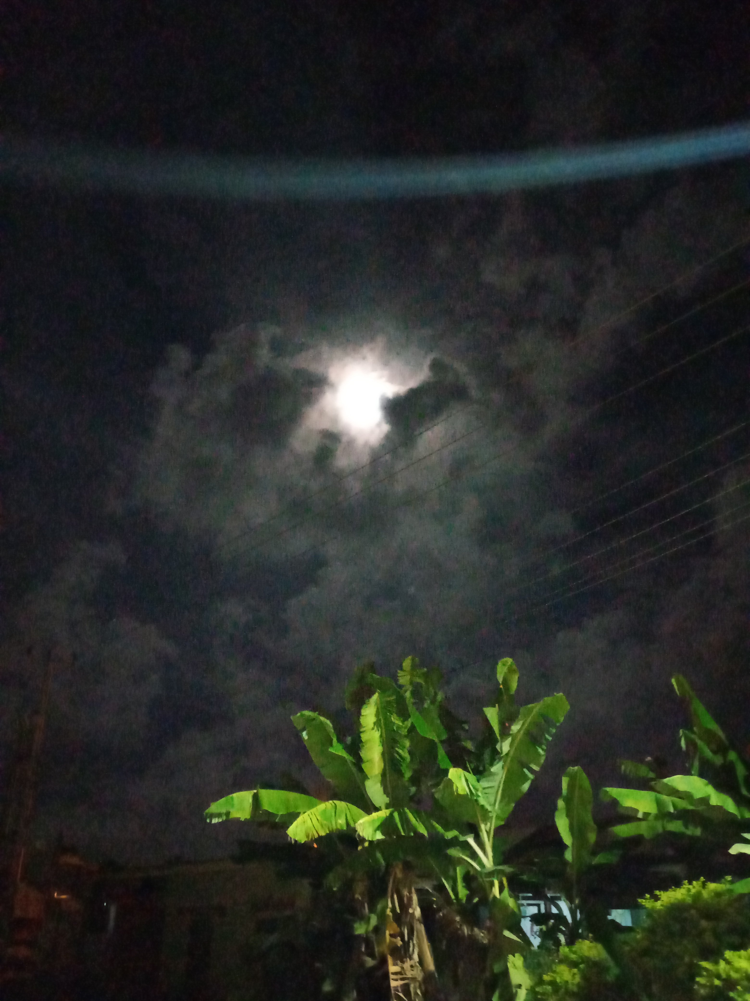 20201130_211402.jpg