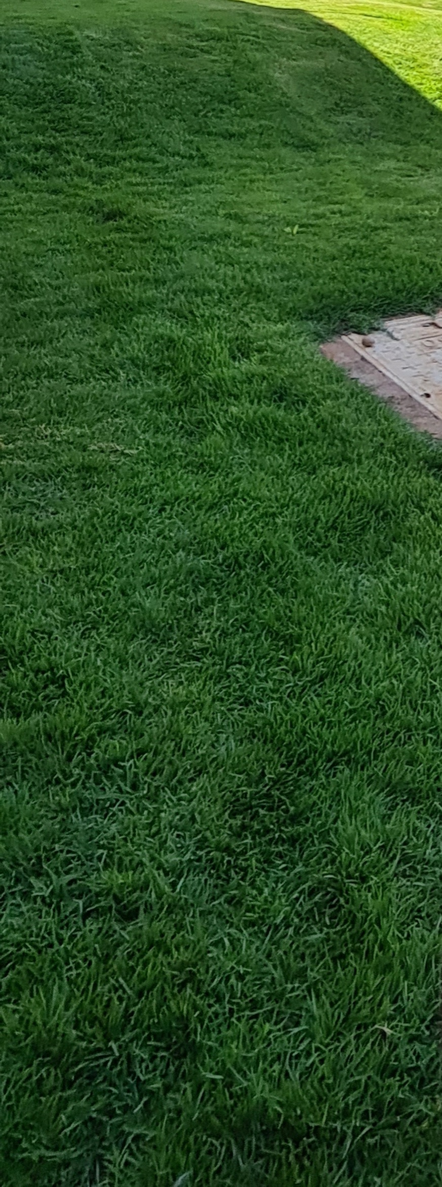 20210107_144942.jpg