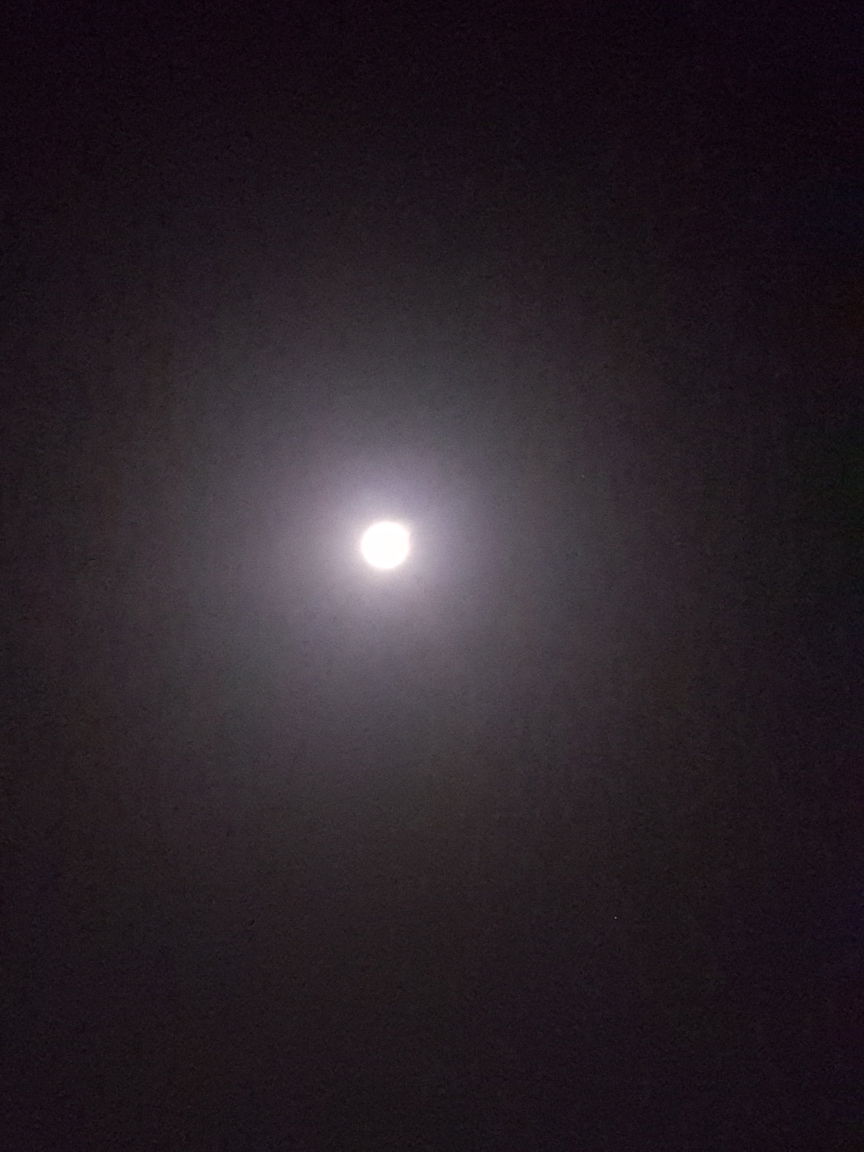 20210128_212354.jpg