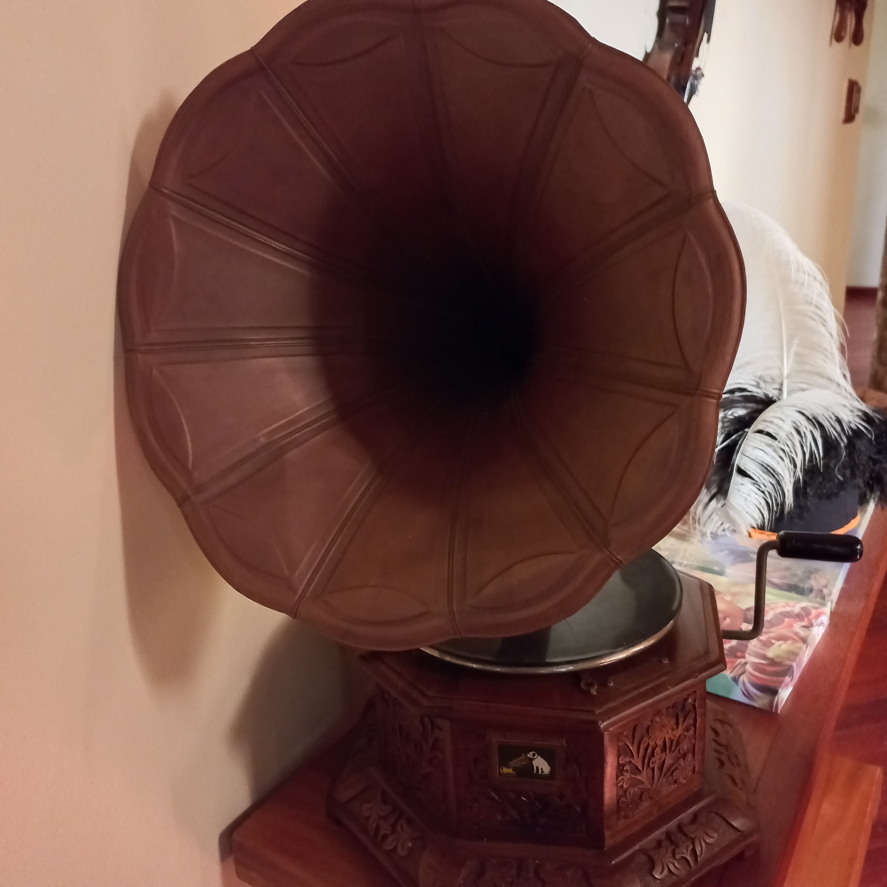 20220426_160927.jpg