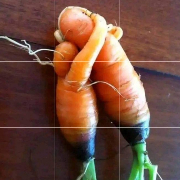 20221224_110043.jpg