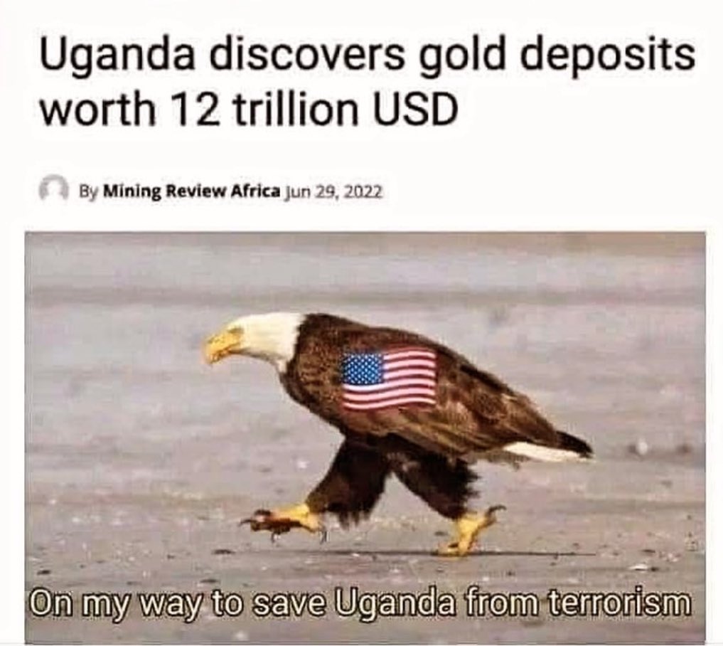 20240609_202546.jpg