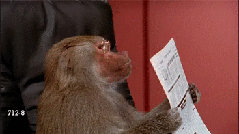 226497_5dd62cf523cbe250db8d1b3a76d0b82e.gif