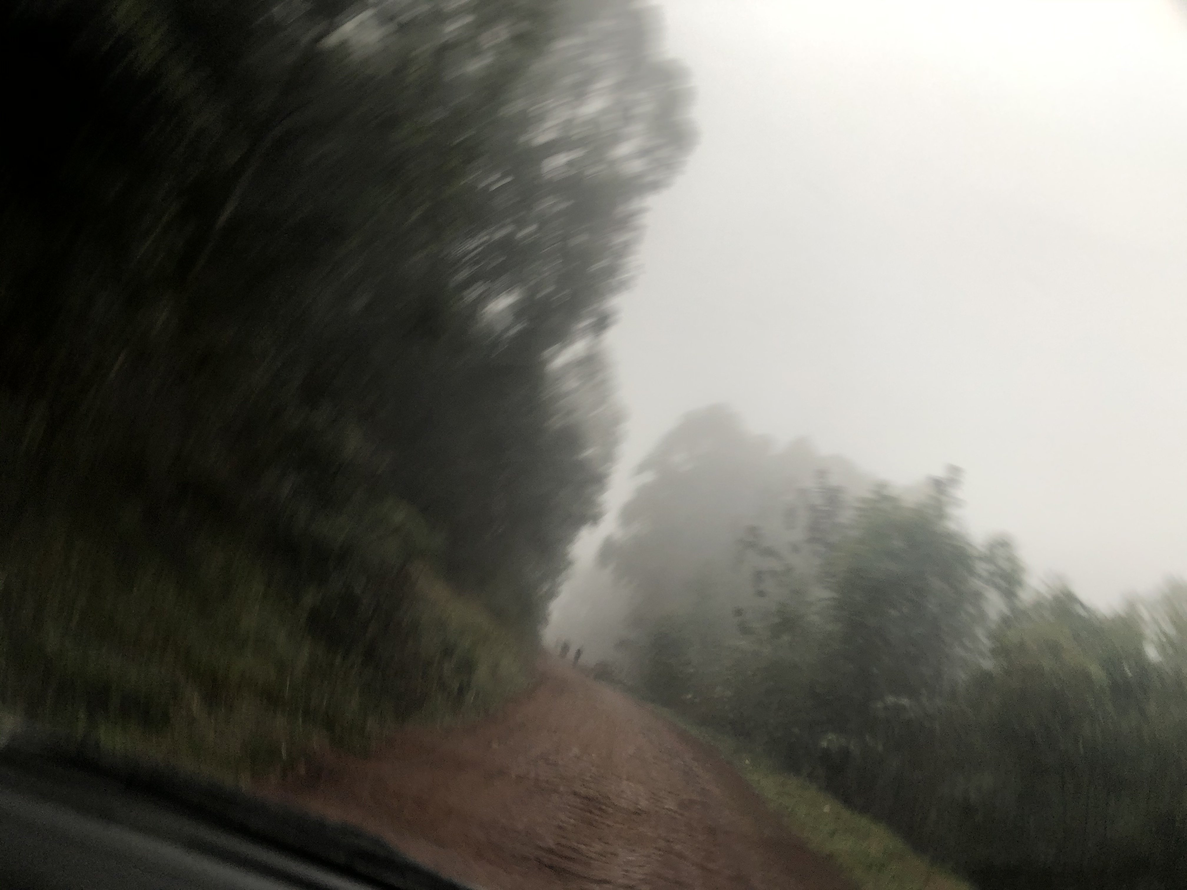 248712D5-A500-4C3D-8D36-CEC497219864.jpeg