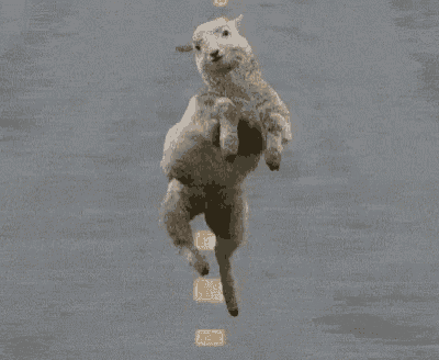 327179_6405edb0b8b0841e0e0b0506b8657c13.gif