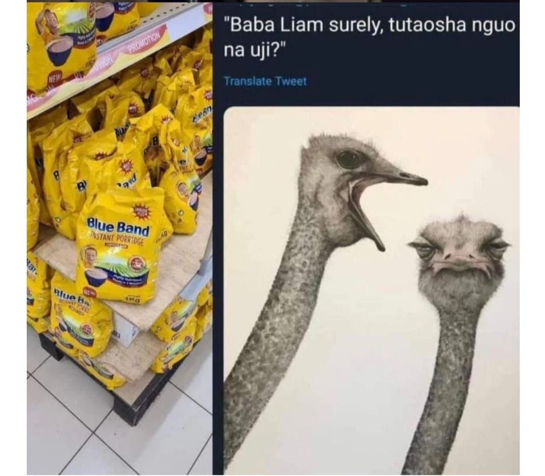 368ED0A7-67E0-4EB8-83F6-C30C9707F1DF.jpeg