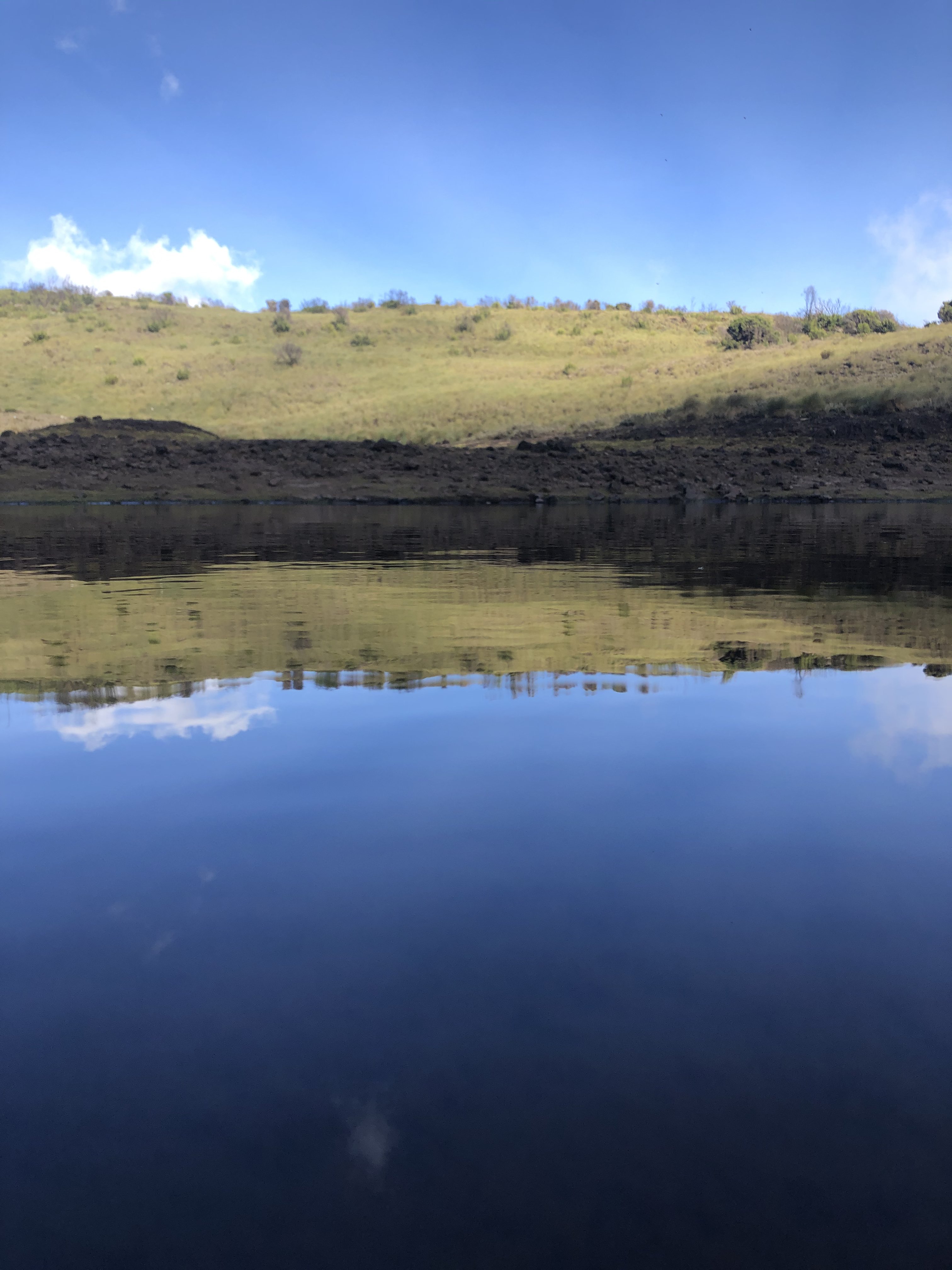 3EC30956-9D5C-4329-83D3-EE74C9F2EE68.jpeg