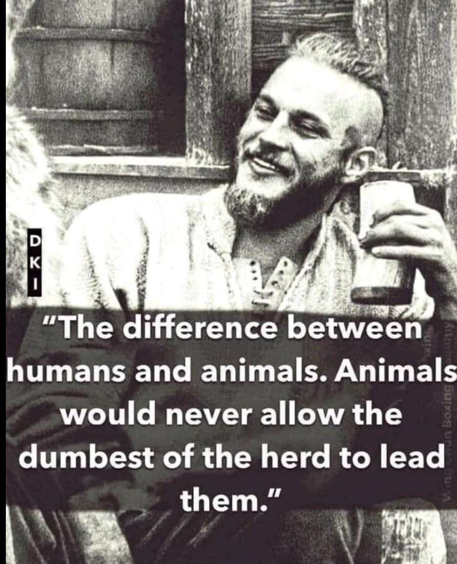 44284d0c13f340bd9b9e621373d737f2.jpg