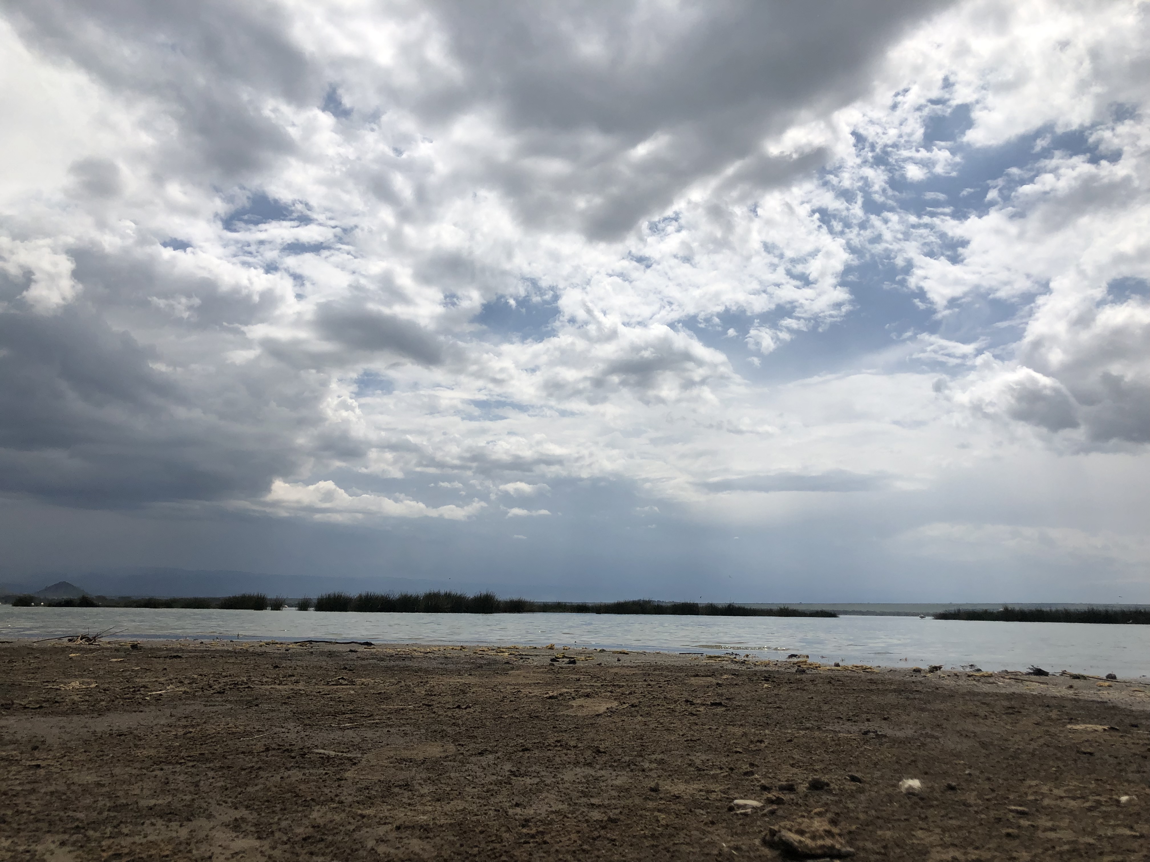 448800FF-0602-48A6-9869-7C87F163CB65.jpeg