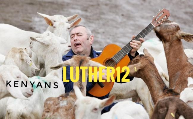 4goatmusician5.jpg.gallery-01.jpeg