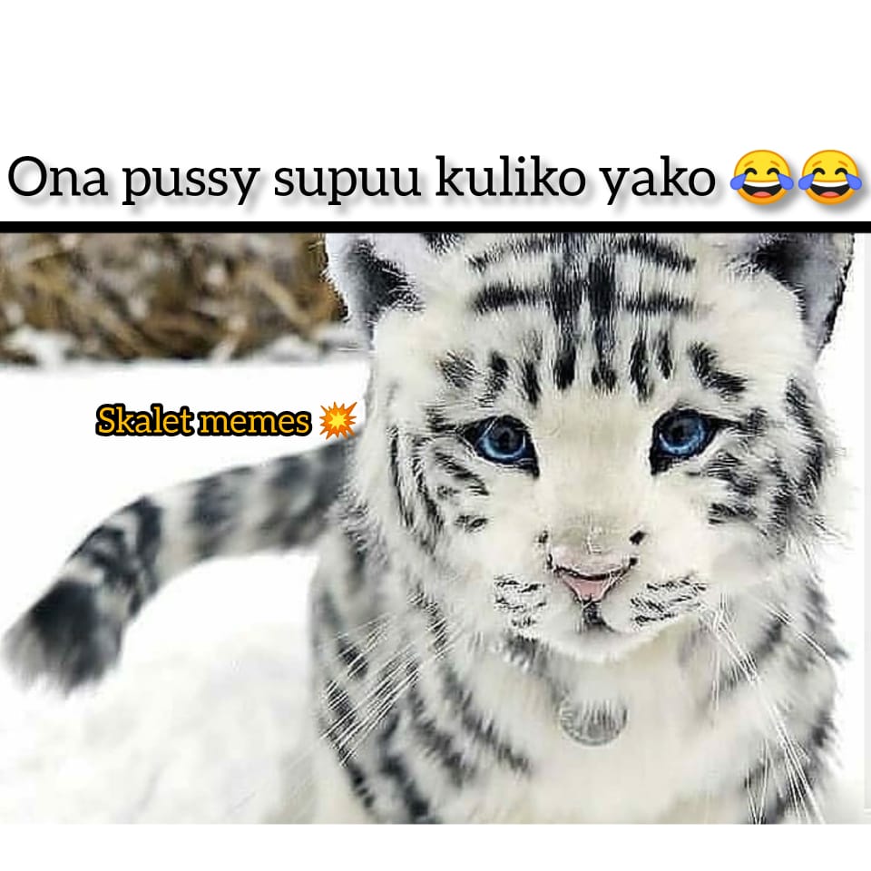 5F0F24ED-54AA-4EC4-86CA-60D74BC8D47F.jpeg