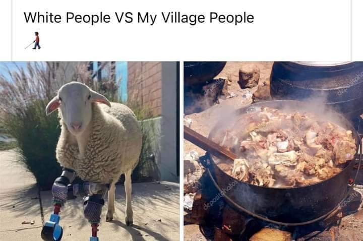 5ff8e1d055c243988ac0bad3bb1a7fdb.jpg