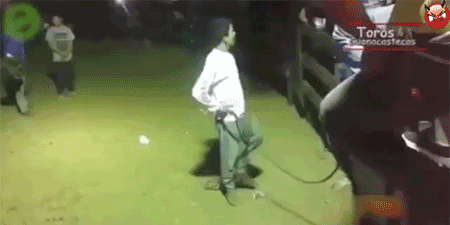 81d4fe4e-58a6-47b4-95bd-36dbc20a004b.gif