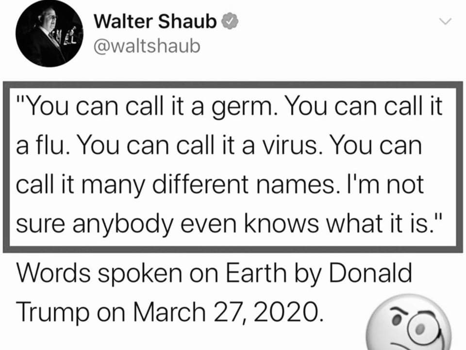 94883259_1430345960479169_3250636544754581504_n.jpg