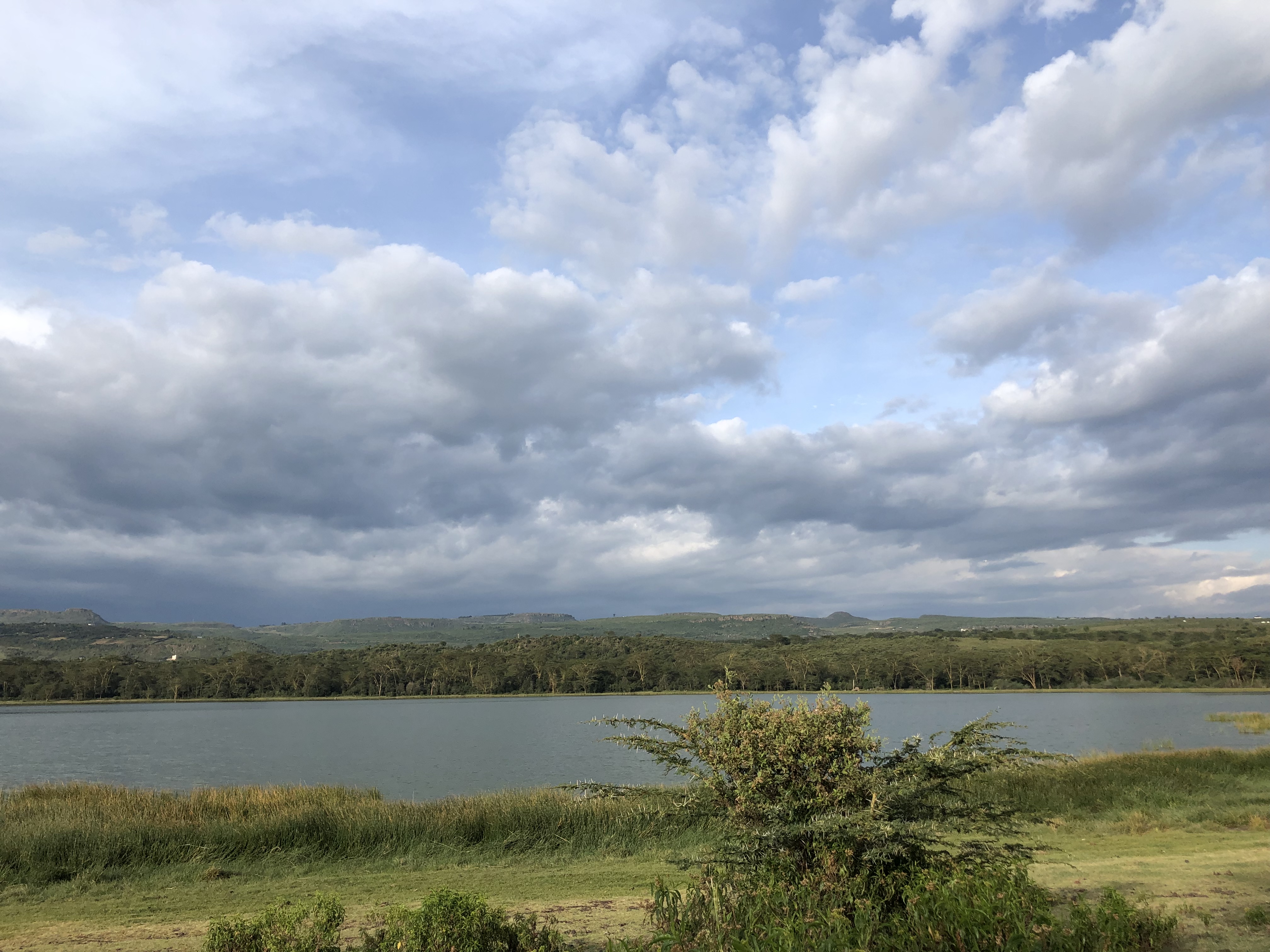 98DE1304-18E1-4A1A-B374-D7615B8AC706.jpeg